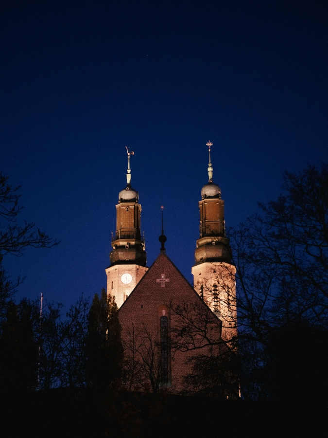Fina Högalid